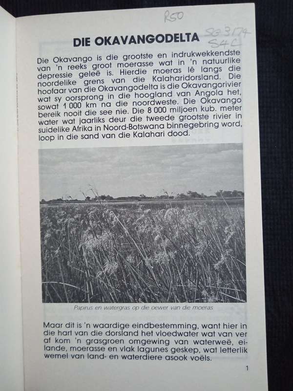 Tienertake Die Okavangodelta by Welna Ras
