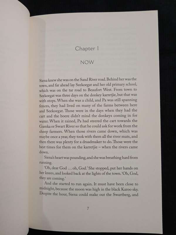 The Tortoise Cried its Only Tear by Carol Campbell