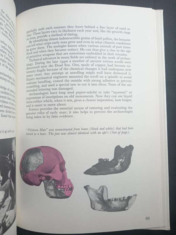 The Wonderful World of Archaeology by Ronald Jessup