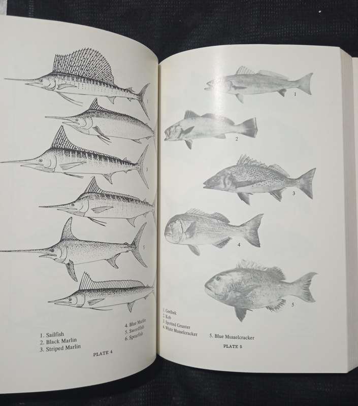 Strike! Handbook of Coastal & Offshore Angling in South Africa by S Schoeman
