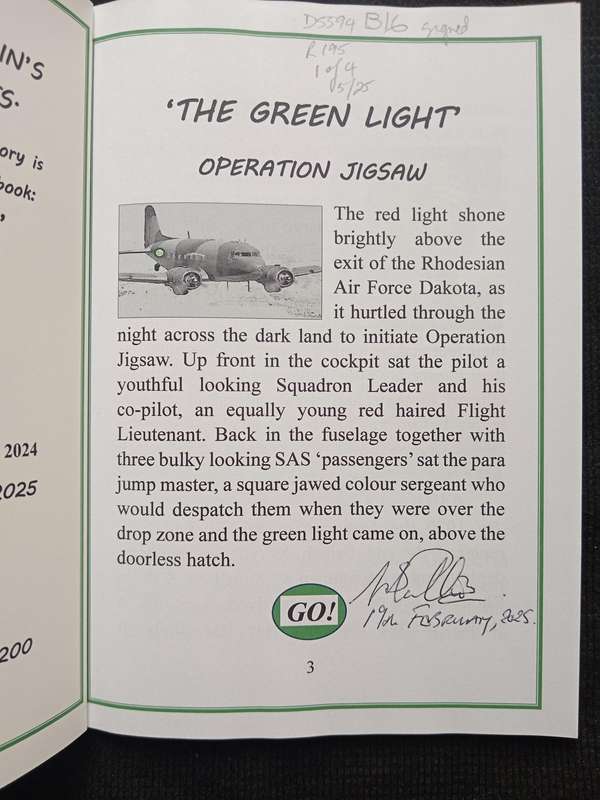 The Green Light by Winston Stanley Pullin