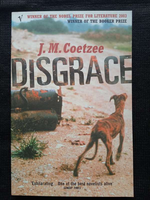 Disgrace by J M Coetzee