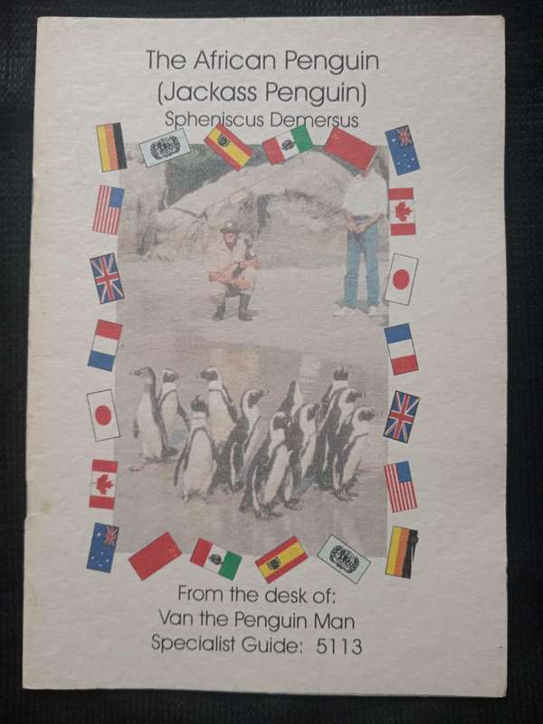 The African Penguin (Jackass Penguin) Spheniscus Demersus