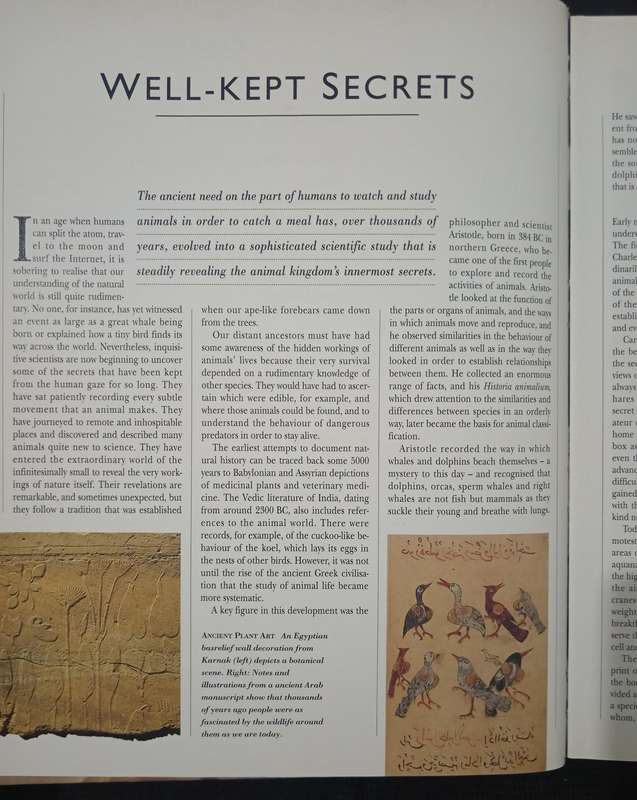The Secret Life of Animals by Reader's Digest