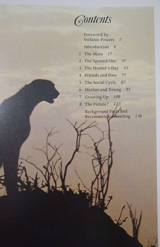 Cheetah by Kathrine & Karl Ammann