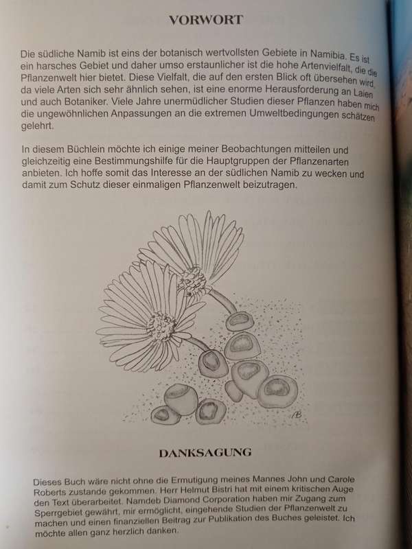 Pflanzenführer Für Die Südliche Namib by Antje Burke
