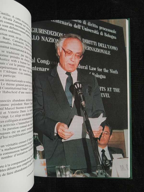 In Honorem Mauro Cappelletti 1927-2004 Edited by Marcel Storme & Federico Carpi