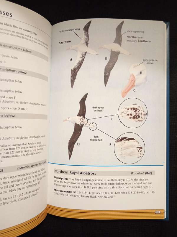 Identification of Seabirds of the Southern Ocean by Derek Onley & Sandy Battle