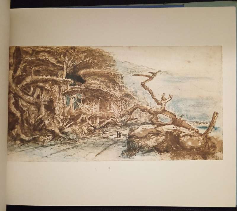 Knysna Forest Scenery Sketches by W D De Vignon van Alphen