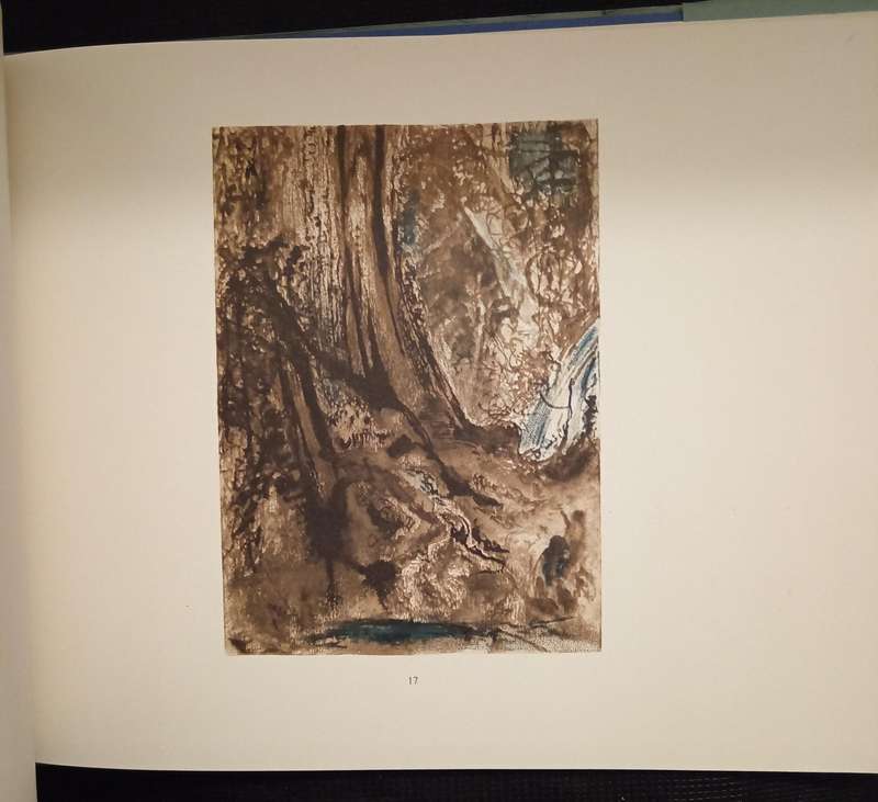 Knysna Forest Scenery Sketches by W D De Vignon van Alphen