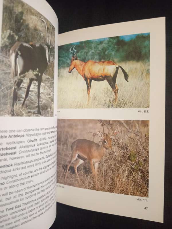Waterberg Plateau Park Namibia by Ilme Schneider
