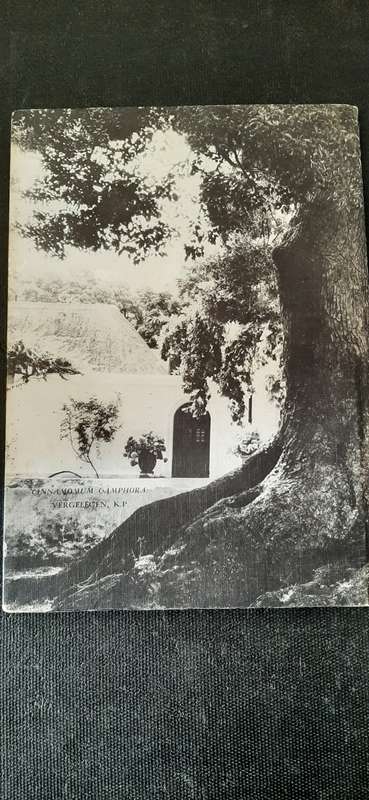 Kenmerke en Gebruike van Bome en Struike deur R.J. Poynton