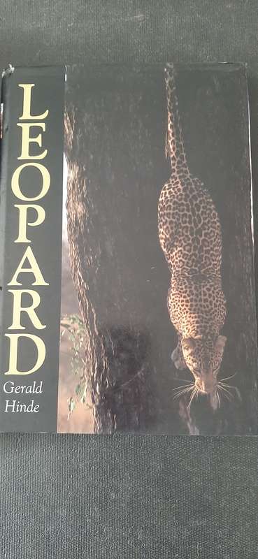 Leopard by Gerald Hinde