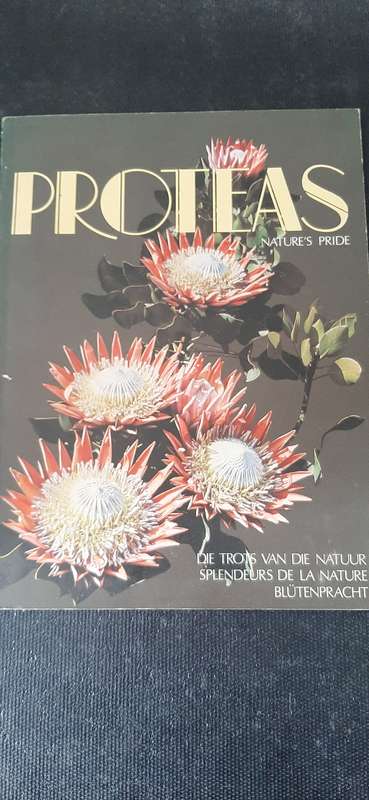 Proteas - Nature's Pride
