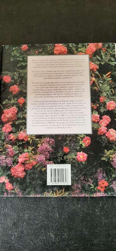 Rose deur Esther Geldenhuys