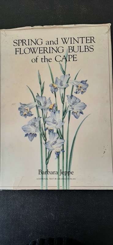 Spring and Winter Flowering Bulbs of the Cape by Barbara Jeppe