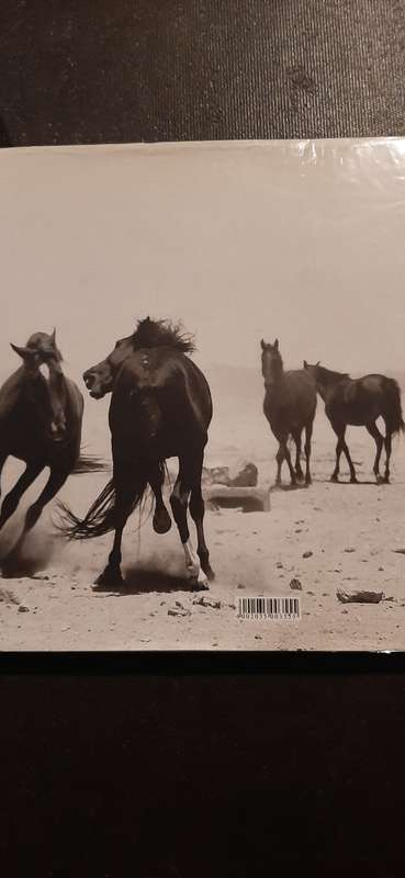 The Wild Horses of Namibia - Photography: Gary Cowan, Text: Sandra uttridge