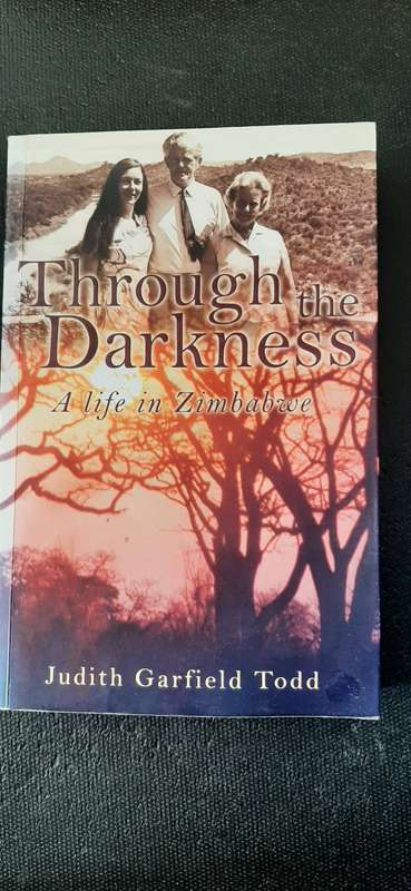 Through the Darkness by Judith Garfield Todd