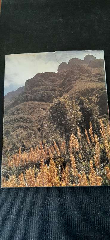 Wild Flowers of the Fairest Cape by W.P.U. Jackson