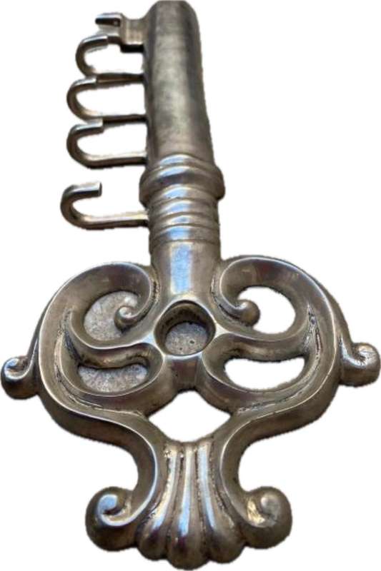 key holder key shape non magnetic metal wall mount