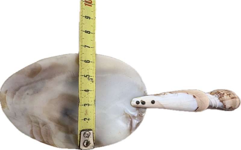 Vintage Mother of Pearl  Abalone spiral shell brass caviar spoon pair