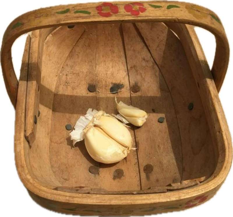 vintage Sussex Trug gathering basket with floral paint detail