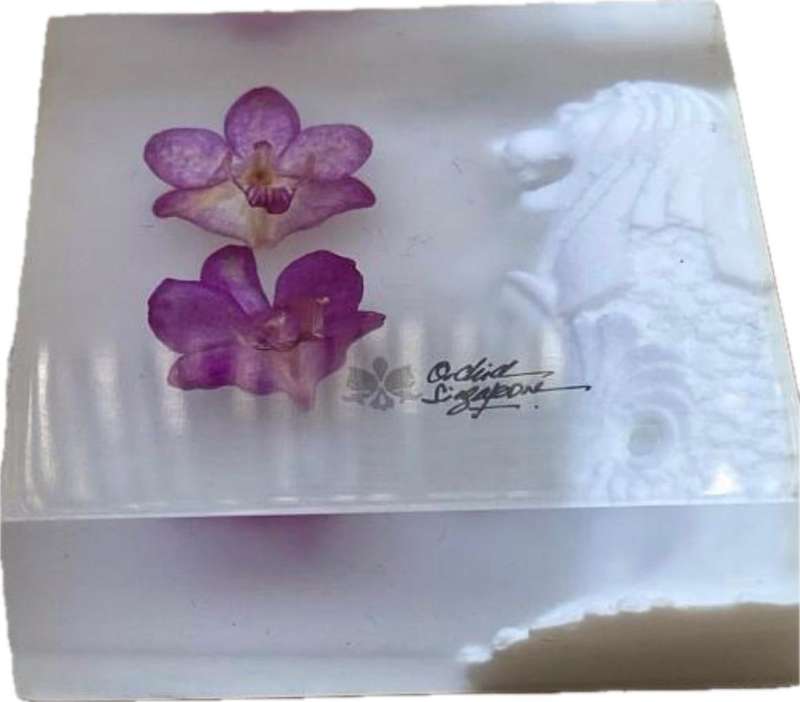 preserved orchid paperweight merlon design Singapore
