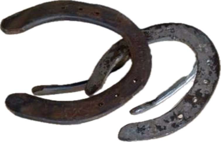 vintage horse shoe horseshoe coat hook pair rustic