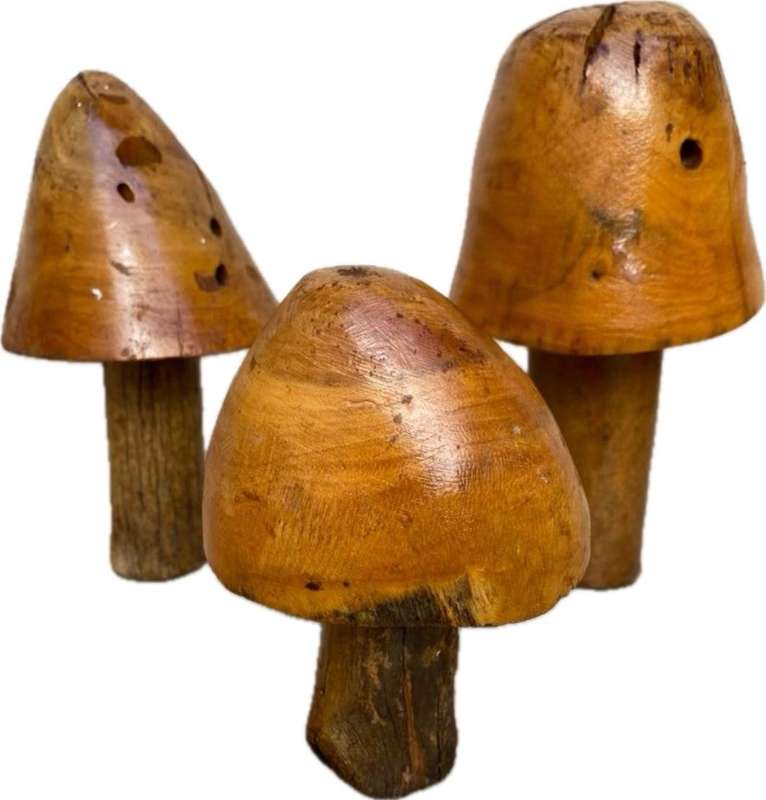 Wood mushrooms sculpture set of 3 folk art