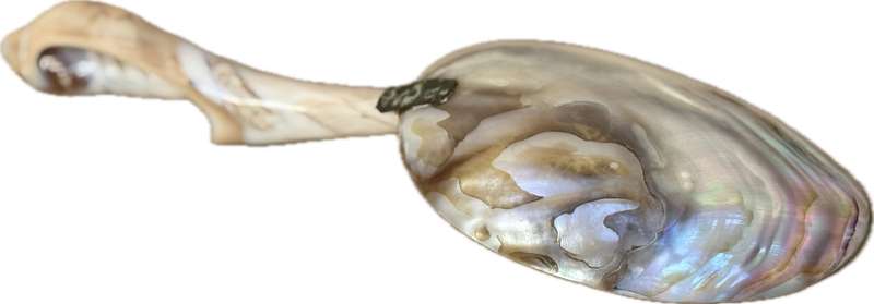 Vintage Mother of Pearl  Abalone spiral shell brass caviar spoon pair