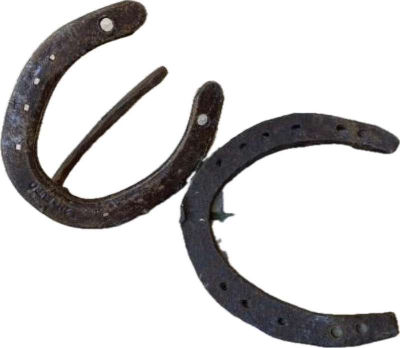 vintage horse shoe coat hook with random horseshoe