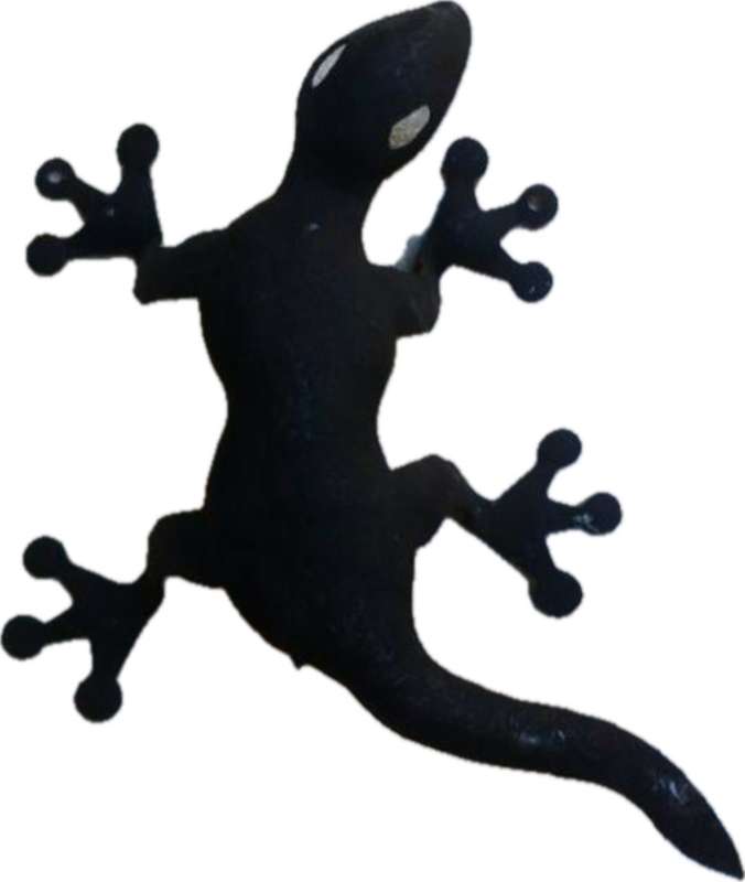 wall light lizard matt black mettalic