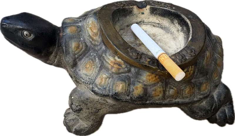 Vintage Chinese ceramic turtle tortoise ashtray life size