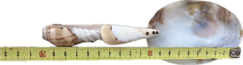 Vintage Mother of Pearl  Abalone spiral shell brass caviar spoon pair