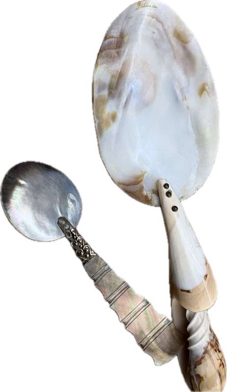 Vintage Mother of Pearl  Abalone spiral shell brass caviar spoon pair