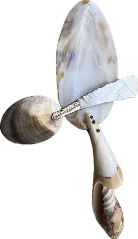 Vintage Mother of Pearl  Abalone spiral shell brass caviar spoon pair