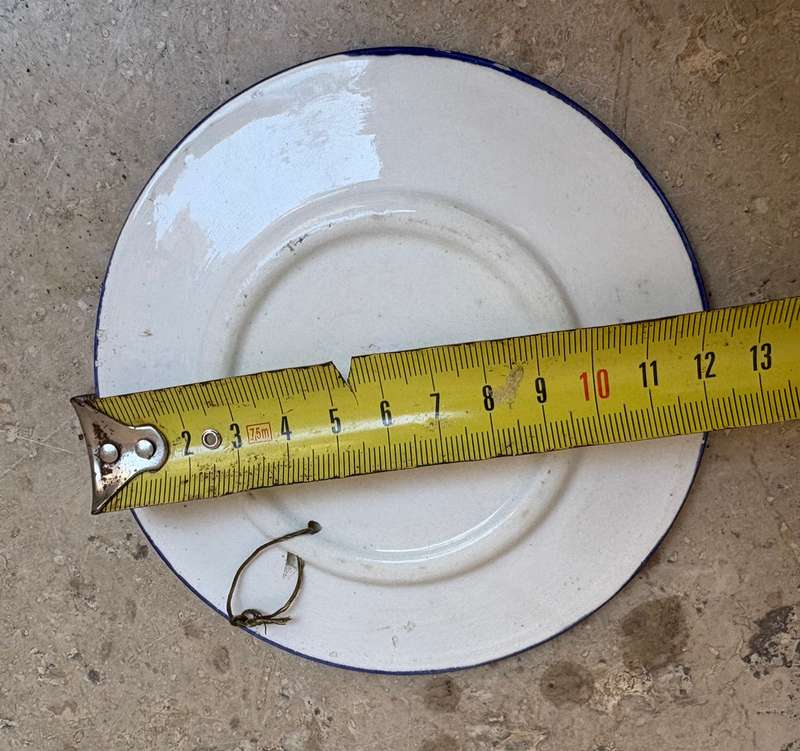 Shalom wall hanged plate Israel dove