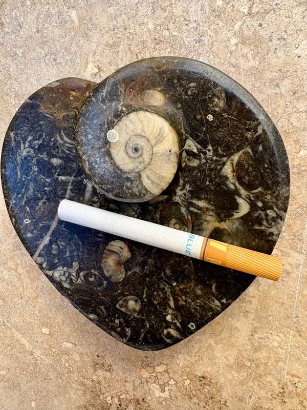 Fossil heart dish Fibonacci