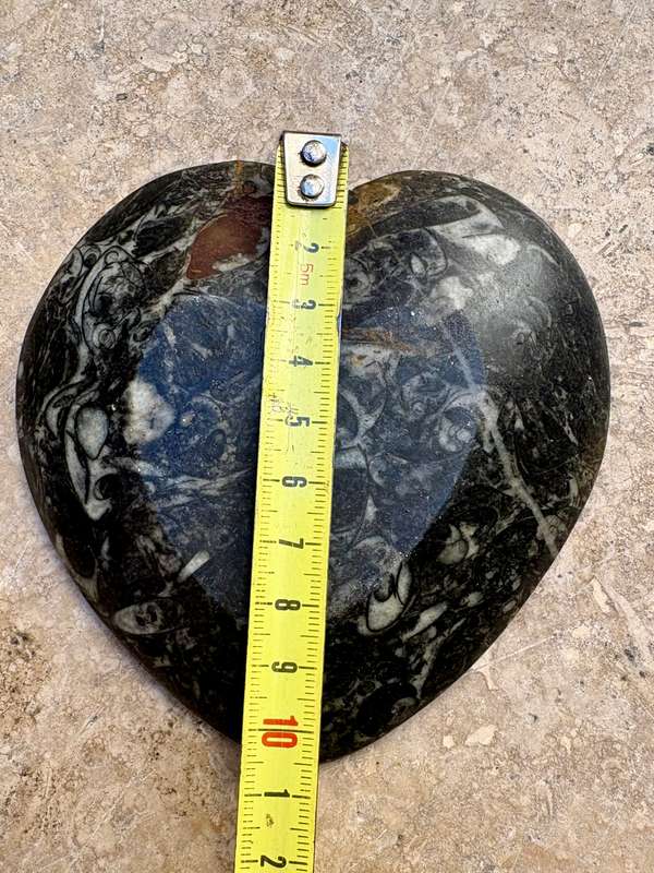Fossil heart dish Fibonacci