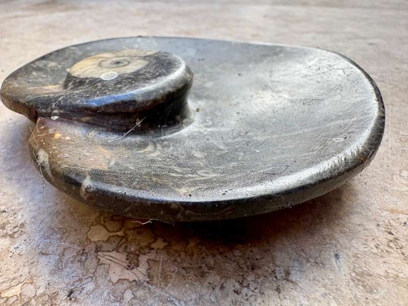 Fossil heart dish Fibonacci