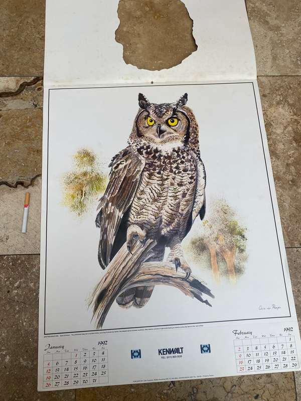 Vintage owl print poster prints  lot of 6 by Chris van Rooyen , 1992