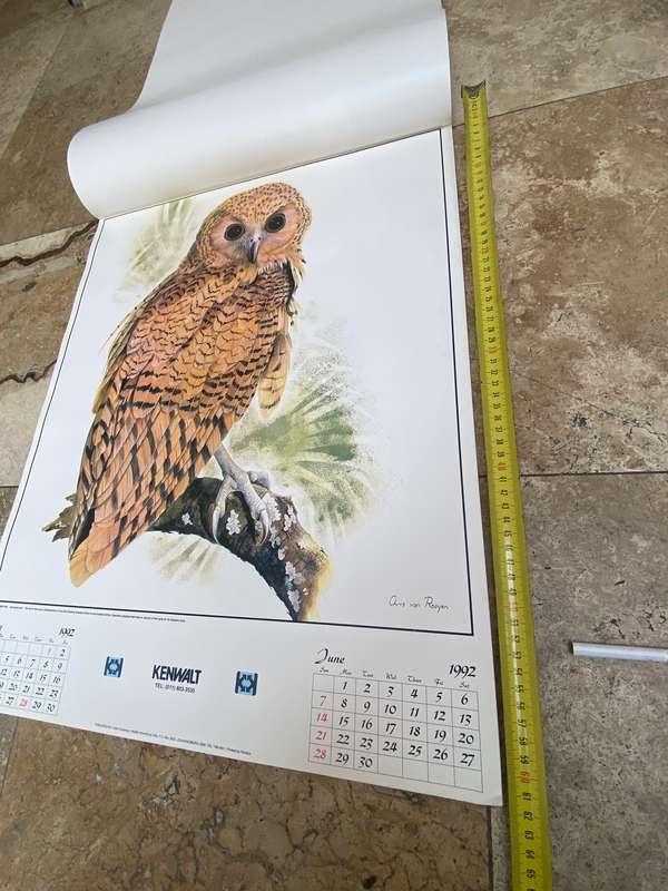 Vintage owl print poster prints  lot of 6 by Chris van Rooyen , 1992
