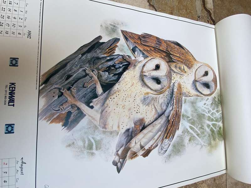 Vintage owl print poster prints  lot of 6 by Chris van Rooyen , 1992