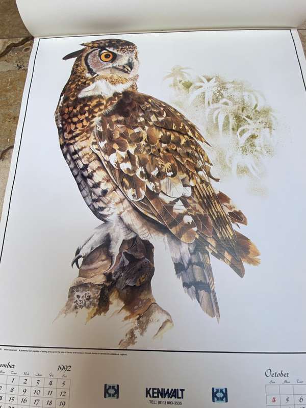 Vintage owl print poster prints  lot of 6 by Chris van Rooyen , 1992