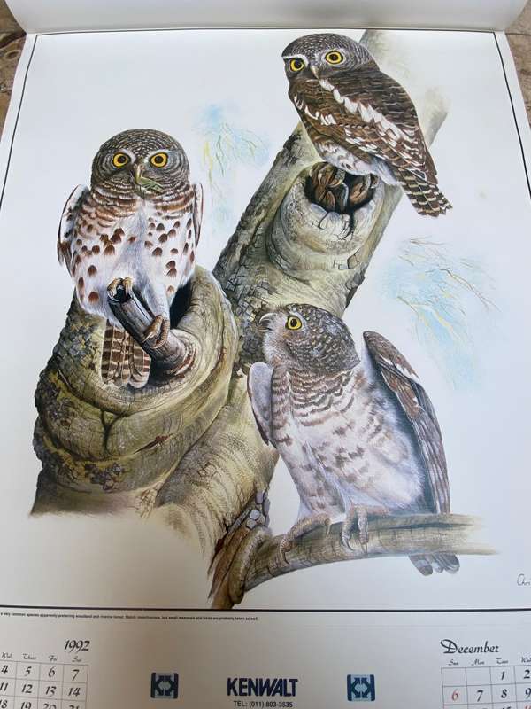 Vintage owl print poster prints  lot of 6 by Chris van Rooyen , 1992