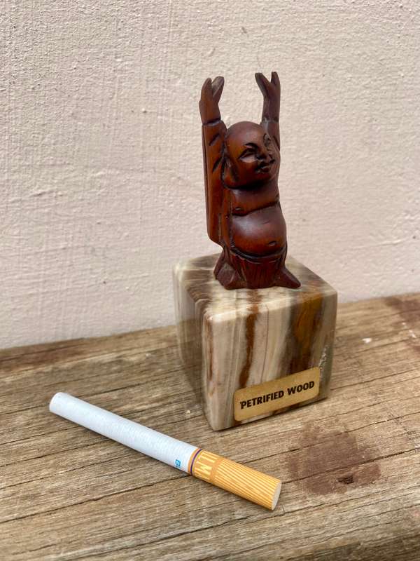 Small wood Buddha figure on petrified wood base pedestal cube