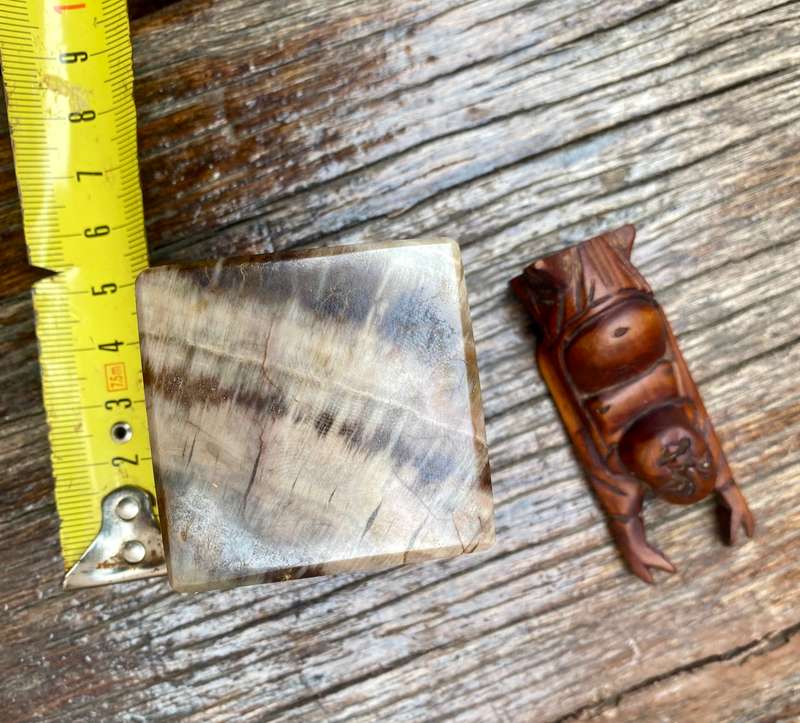 Small wood Buddha figure on petrified wood base pedestal cube