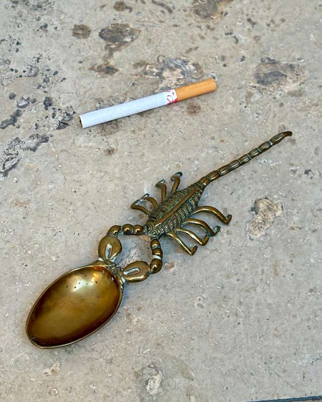 Vintage scorpion brass spoon