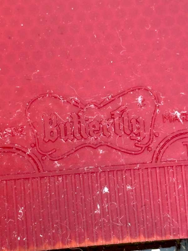 Stiga butterfly table tennis bat Slazenger