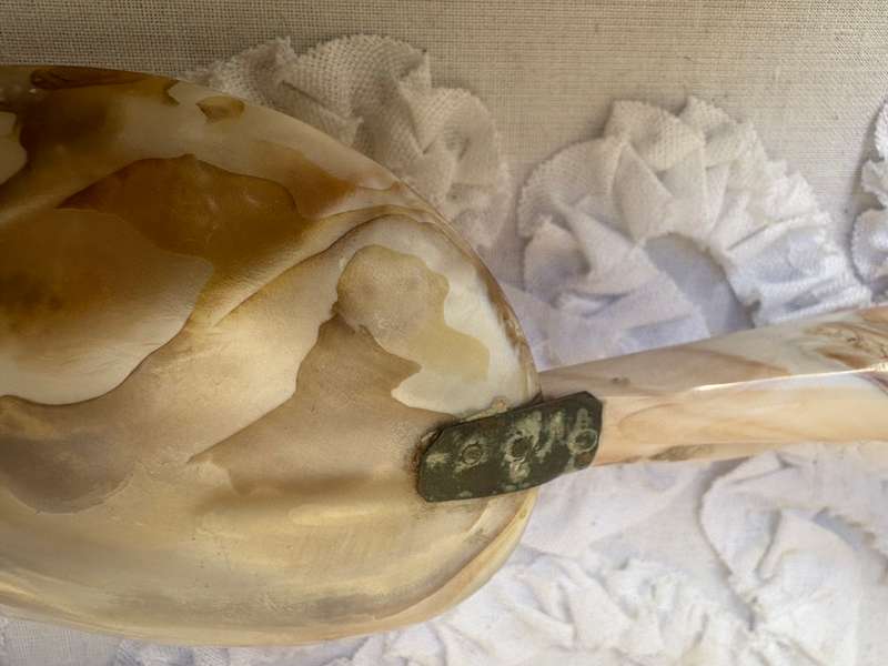 Vintage Mother of Pearl  Abalone spiral shell brass caviar spoon pair